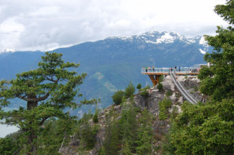 Sky Pilot Suspension Bridge, Sea to Sky Gondola | BC Canada | Photography by Jenny S.W. Lee