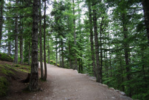 Howe Sound, Sea to Sky Gondola, Shannon Basin | BC Canada | Photography by Jenny S.W. Lee