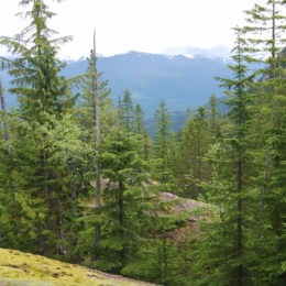 Howe Sound, Sea to Sky Gondola, Shannon Basin | BC Canada | Photography by Jenny S.W. Lee