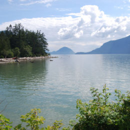 Porteau Cove Marine Park | BC Canada | Photography by Jenny S.W. Lee
