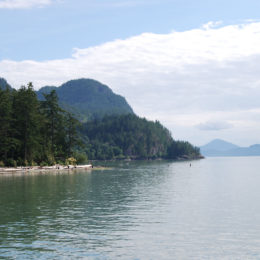 Porteau Cove Marine Park | BC Canada | Photography by Jenny S.W. Lee