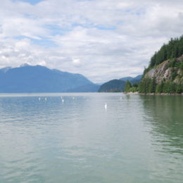 Porteau Cove Marine Park | BC Canada | Photography by Jenny S.W. Lee