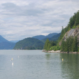 Porteau Cove Marine Park | BC Canada | Photography by Jenny S.W. Lee