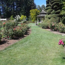 Woodland Park Rose Garden, Seattle, WA | Photography by Jenny S.W. Lee