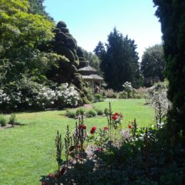 Woodland Park Rose Garden, Seattle, WA | Photography by Jenny S.W. Lee