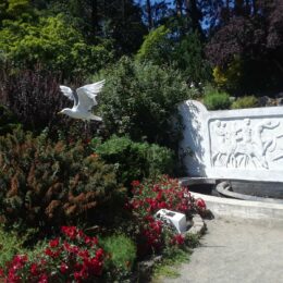 Woodland Park Rose Garden, Seattle, WA | Photography by Jenny S.W. Lee