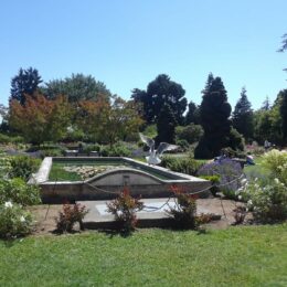 Woodland Park Rose Garden, Seattle, WA | Photography by Jenny S.W. Lee