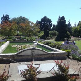 Woodland Park Rose Garden, Seattle, WA | Photography by Jenny S.W. Lee