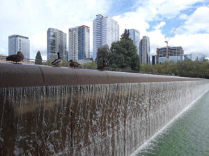 Bellevue Downtown Park, WA | Photography by Jenny S.W. Lee