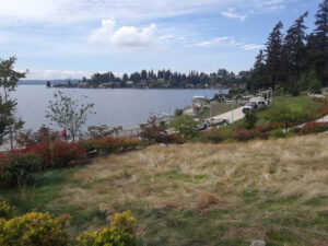 Meydenbauer Bay Park, Bellevue, WA | Photography by Jenny S.W. Lee