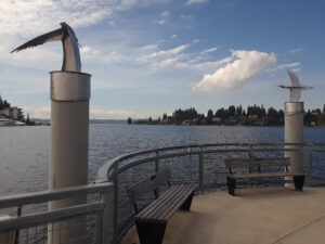 Meydenbauer Bay Park, Bellevue, WA | Photography by Jenny S.W. Lee