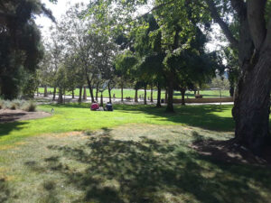 Bellevue Downtown Park, WA | Photography by Jenny S.W. Lee