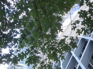 Seattle Public Library, WA | Photography by Jenny S.W. Lee