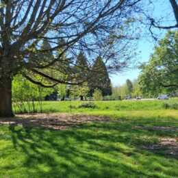 Redmond Washington in spring | Photography by Jenny S.W. Lee