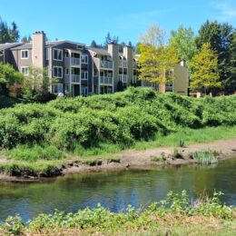Sammamish River Trail, Redmond Washington in spring | Photography by Jenny S.W. Lee