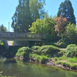Sammamish River Trail, Redmond Washington in spring | Photography by Jenny S.W. Lee