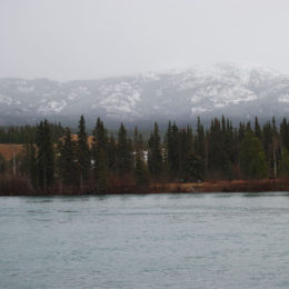 Yukon River, Whitehorse, Canada | Photography by Jenny S.W. Lee
