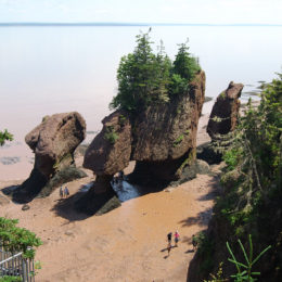 Flowerpots Rocks | Hopewell Rocks | Bay of Fundy | Photography by Jenny SW Lee