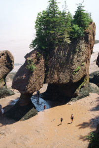 Flowerpots Rocks | Hopewell Rocks | Bay of Fundy | Photography by Jenny SW Lee