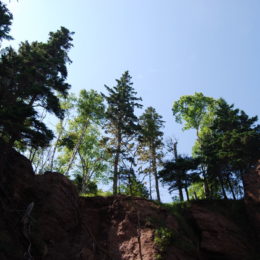 Flowerpots Rocks | Hopewell Rocks | Bay of Fundy | Photography by Jenny SW Lee