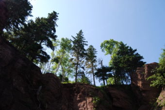 Flowerpots Rocks | Hopewell Rocks | Bay of Fundy | Photography by Jenny SW Lee