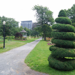 Halifax Public Gardens | Photography by Jenny SW Lee