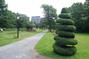 Halifax Public Gardens | Photography by Jenny SW Lee