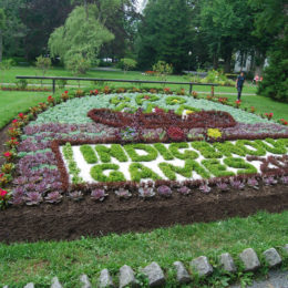 Halifax Public Gardens | Photography by Jenny SW Lee