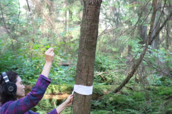 Jenny S.W. Lee Field Recording, Stanley Park Beaver Lake