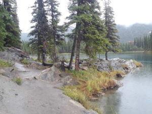 Horseshoe Lake Trail, Denali National Park, Alaska | Photography by Jenny S.W. Lee