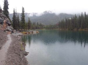 Horseshoe Lake Trail, Denali National Park, Alaska | Photography by Jenny S.W. Lee