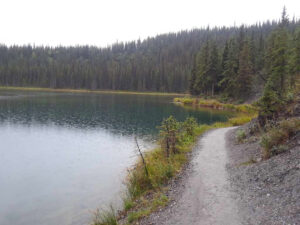 Horseshoe Lake Trail, Denali National Park, Alaska | Photography by Jenny S.W. Lee