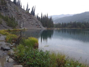 Horseshoe Lake Trail, Denali National Park, Alaska | Photography by Jenny S.W. Lee
