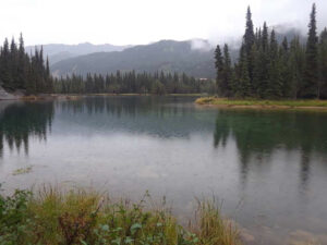 Horseshoe Lake Trail, Denali National Park, Alaska | Photography by Jenny S.W. Lee