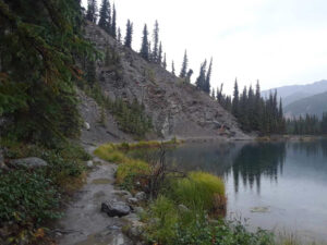 Horseshoe Lake Trail, Denali National Park, Alaska | Photography by Jenny S.W. Lee