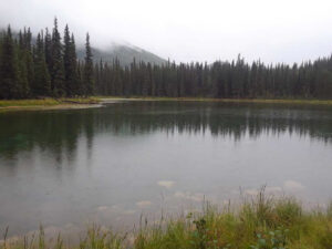Horseshoe Lake Trail, Denali National Park, Alaska | Photography by Jenny S.W. Lee