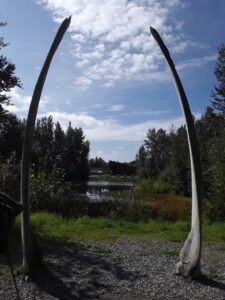 Alaska Native Heritage Center | Photography by Jenny S.W. Lee