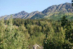 Kenai Fjords National Park. Harding Icefield Trail, Alaska | Photography by Jenny S.W. Lee