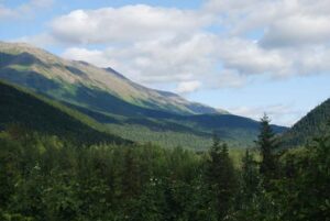 Kenai Fjords National Park. Harding Icefield Trail, Alaska | Photography by Jenny S.W. Lee