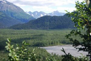 Kenai Fjords National Park. Harding Icefield Trail, Alaska | Photography by Jenny S.W. Lee
