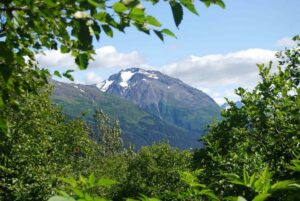 Kenai Fjords National Park. Harding Icefield Trail, Alaska | Photography by Jenny S.W. Lee