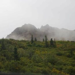 Denali National Park, Alaska | Photography by Jenny S.W. Lee