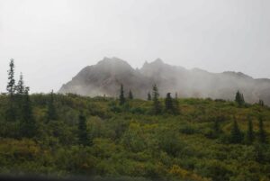 Denali National Park, Alaska | Photography by Jenny S.W. Lee