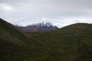 Denali National Park, Alaska | Photography by Jenny S.W. Lee