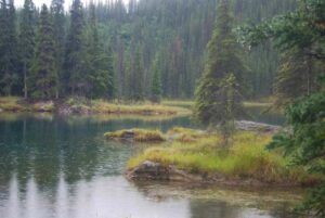 Horseshoe Lake Trail, Denali National Park, Alaska | Photography by Jenny S.W. Lee