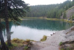 Horseshoe Lake Trail, Denali National Park, Alaska | Photography by Jenny S.W. Lee