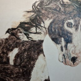 Santa Fe, New Mexico | Photography by Jenny S.W. Lee