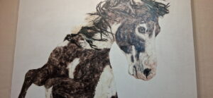 Santa Fe, New Mexico | Photography by Jenny S.W. Lee