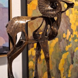 Santa Fe, New Mexico | Photography by Jenny S.W. Lee