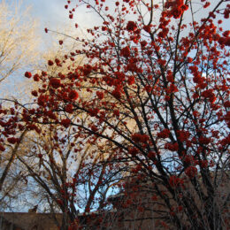 Santa Fe, New Mexico | Photography by Jenny S.W. Lee